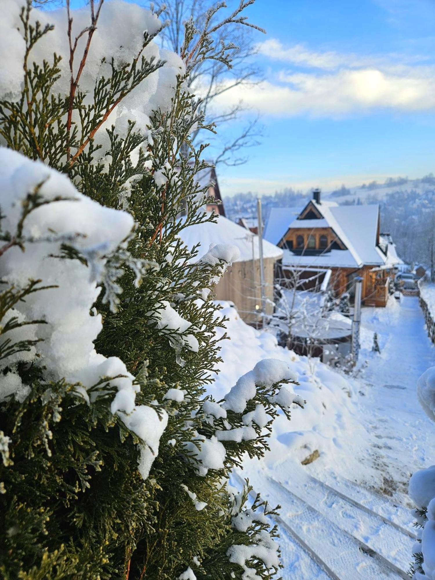 Goralska Chatka 2 Highland Cottage - Split Ac, Jacuzzi, Sauna, Private Parking, Mountains View, Garden, Zakopane Exterior foto